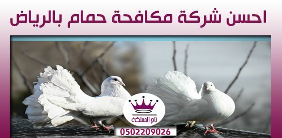 احسن شركة مكافحة حمام بالرياض